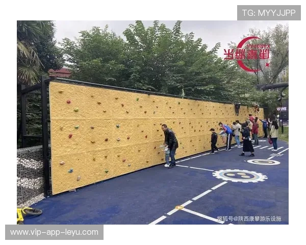 国际攀冰训练营建立青少年环境保护档案，国际攀岩比赛场地要求