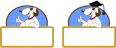 乐鱼体育平台-校园体育活动对大学生心理健康的促进作用，体育锻炼对大学生心理健康促进的意义