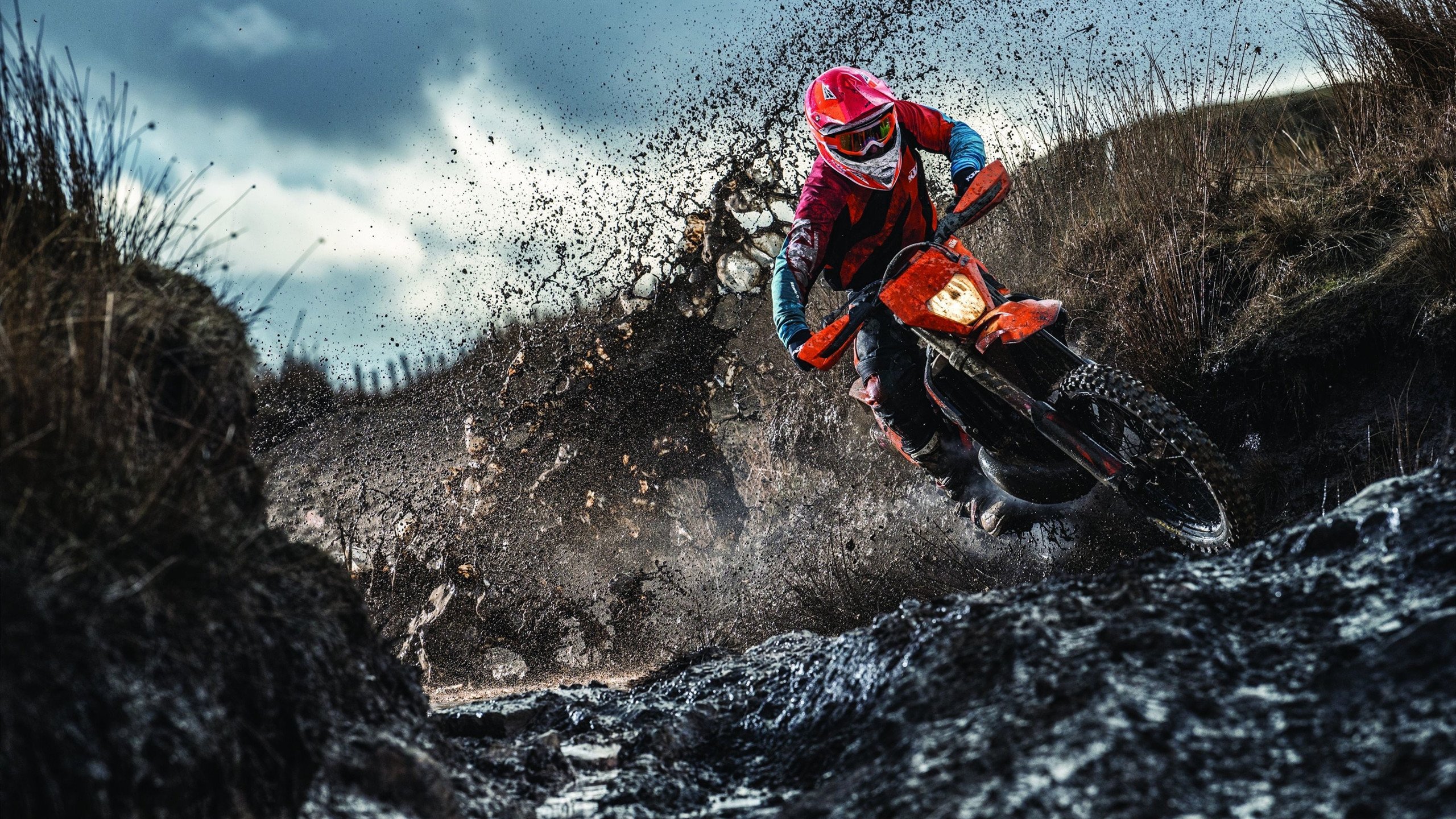 Wagner 激励队友士气高涨，鼓励队友的网名