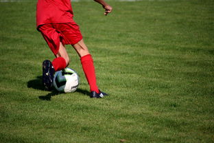 乐鱼官网介绍-中国足球俱乐部青年队冬训与夏训计划差异，中国足球青训队员年龄是多少岁