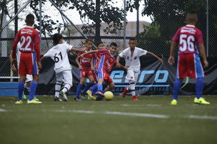 乐鱼体育app官方入口-中国足球基层足球培训模式创新，足球培训市场现状分析